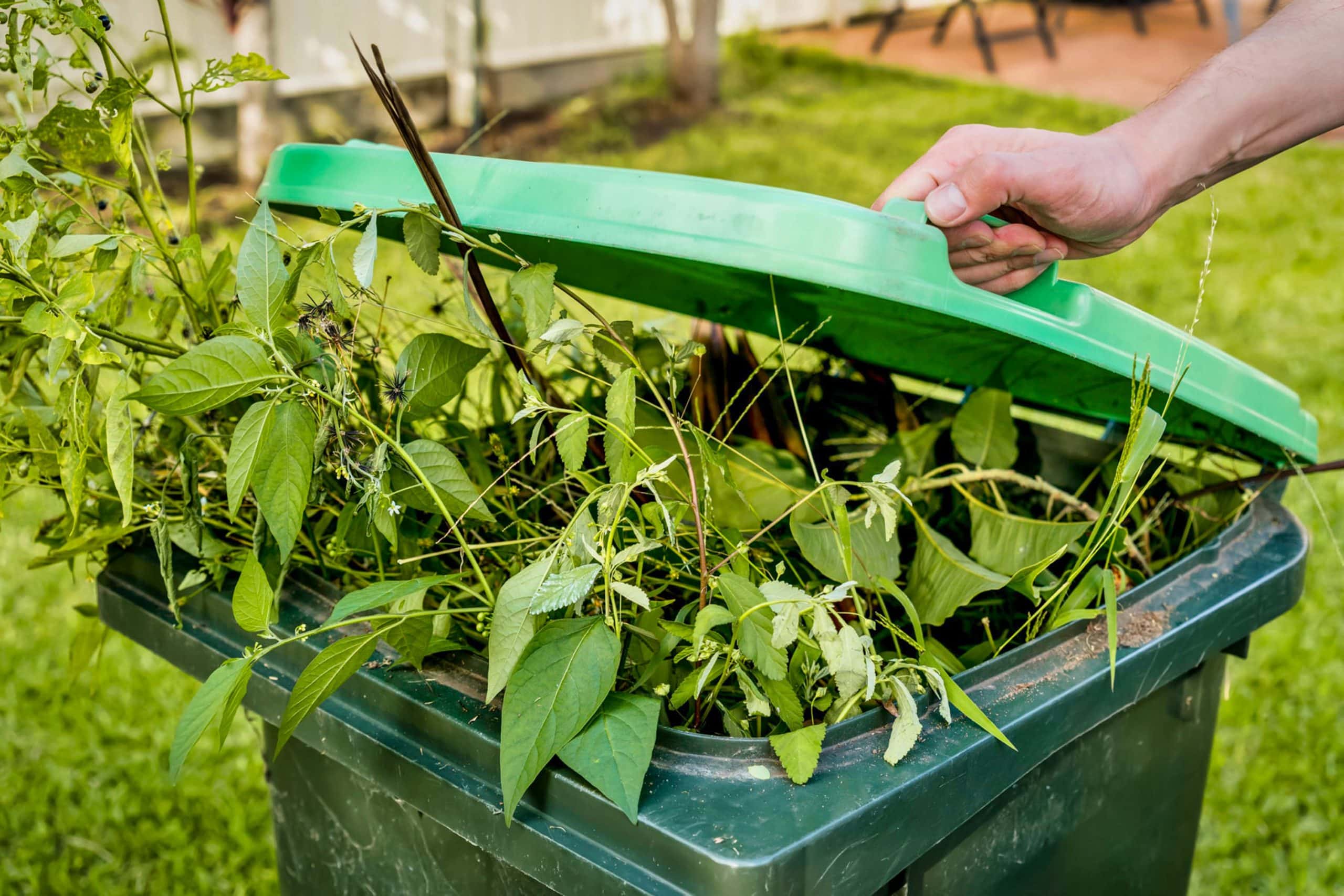 Household Green Waste Collection JJ's Waste & Recycling